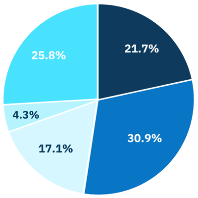 Revenue Pie Chart